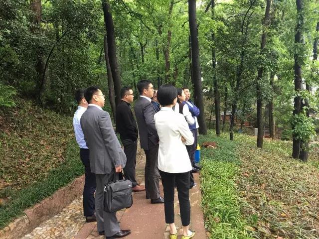 微信图片_20170509094944.jpg